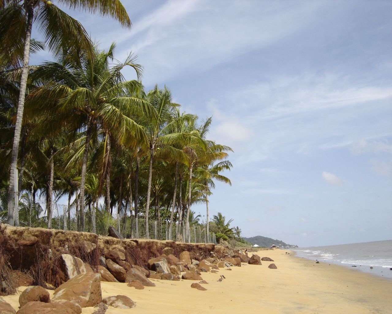 Fonds d'cran Nature Mers - Ocans - Plages Plage de Guyane