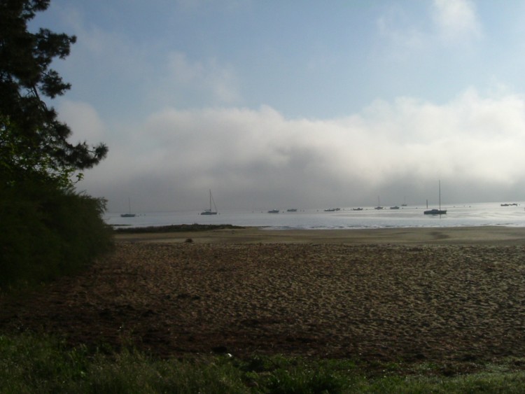 Fonds d'cran Nature Mers - Ocans - Plages vu de la plage bertic (claouey)