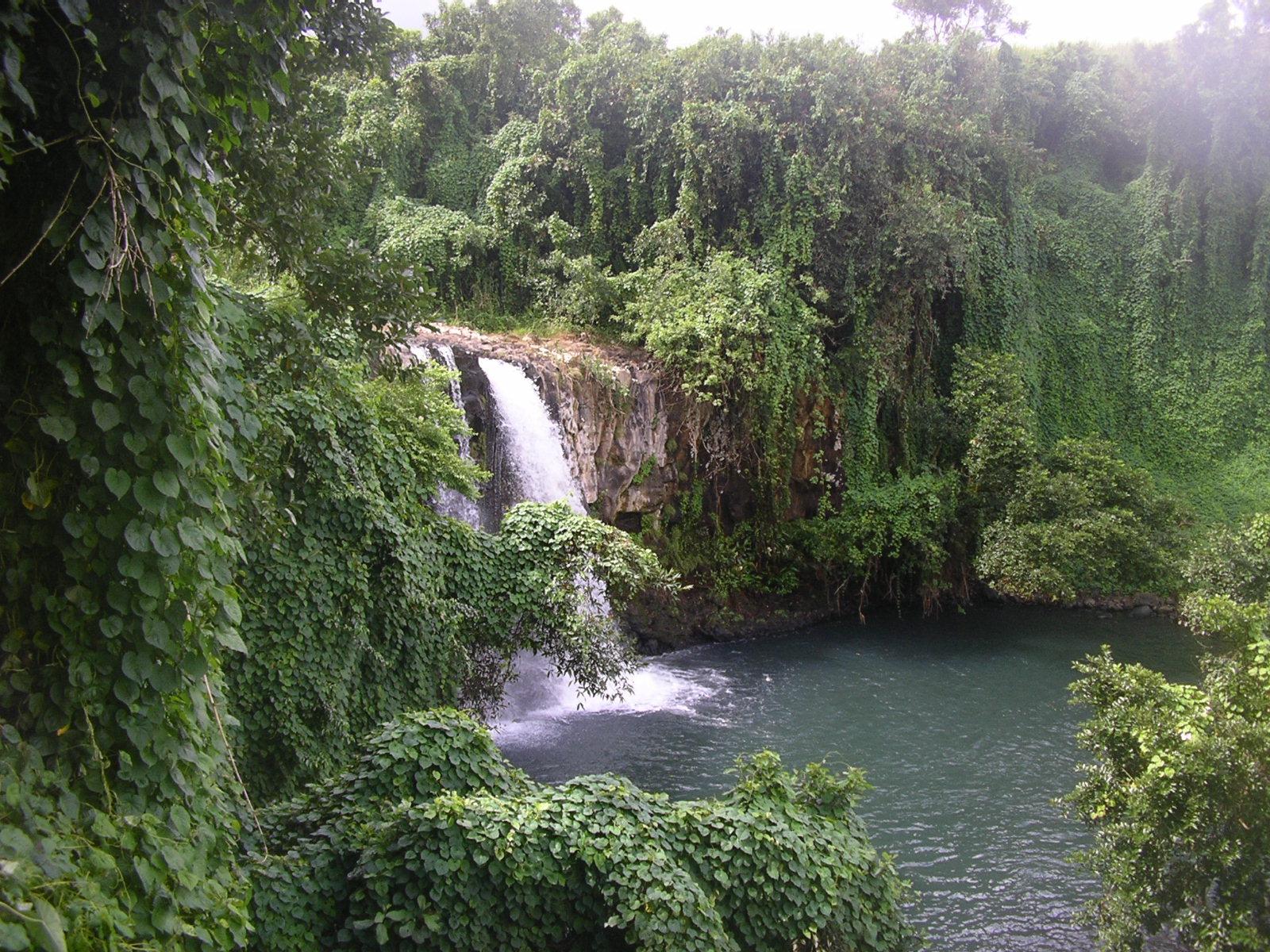 Wallpapers Trips : Africa Mauritius La cascade perdue