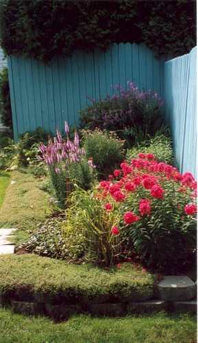 Fonds d'cran Nature Fleurs fleur