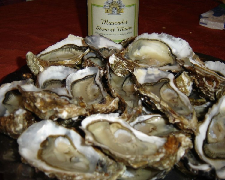 Fonds d'cran Animaux Vie marine - Coquillages Huitres et Muscadet