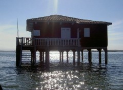 Wallpapers Nature cabanes Tchanques- bassin d'arcachon