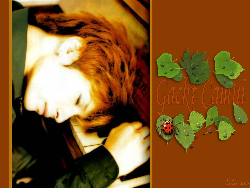 Wallpapers Music Gackt petit somme