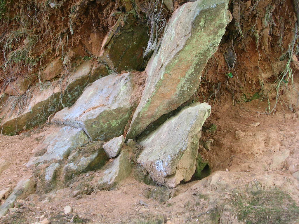 Wallpapers Nature Rocks - Stones - Sand dessous de souche