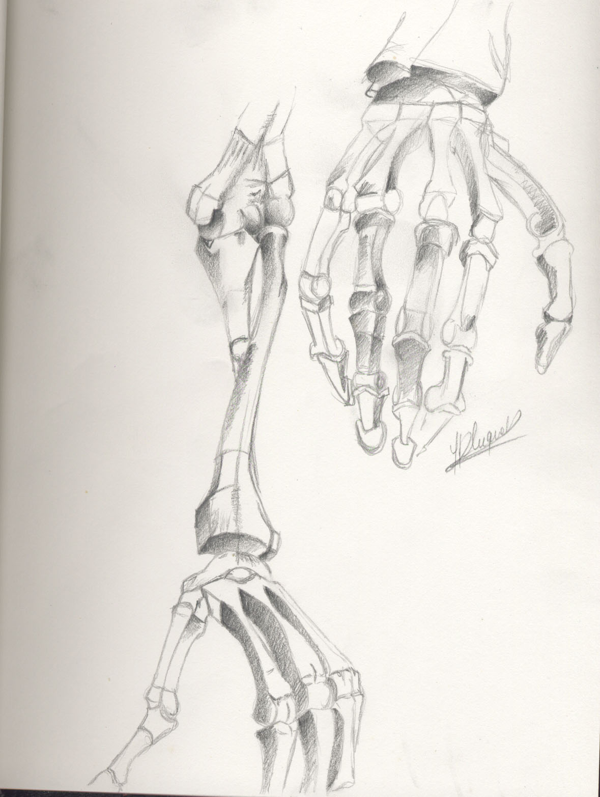 Wallpapers Art - Pencil Hands, feet, skeletons Etude