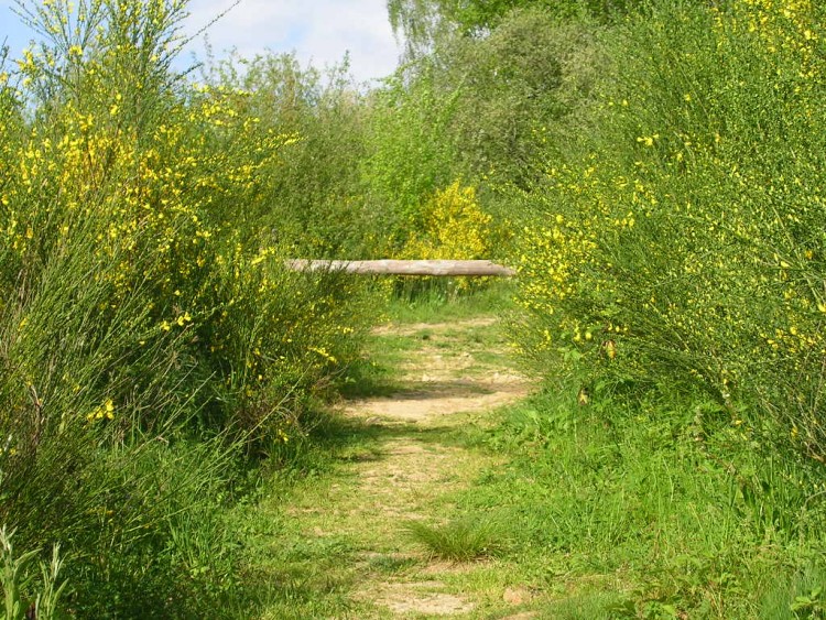 Fonds d'cran Constructions et architecture Routes - Autoroutes chemin de fort