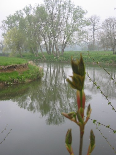 Fonds d'cran Nature Fleuves - Rivires - Torrents Courbe de l'Oise en pays picard