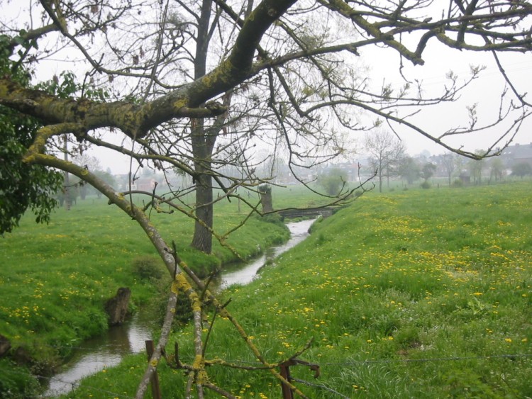 Fonds d'cran Voyages : Europe France > Picardie Ruisseau dans le Saint-Quentinois