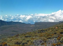 Fonds d'cran Voyages : Afrique Ile de la Reunion