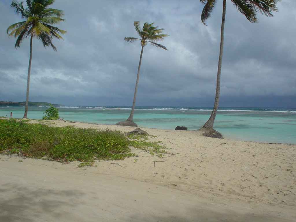 Wallpapers Nature Seas - Oceans - Beaches Gwadeloup-St Anne