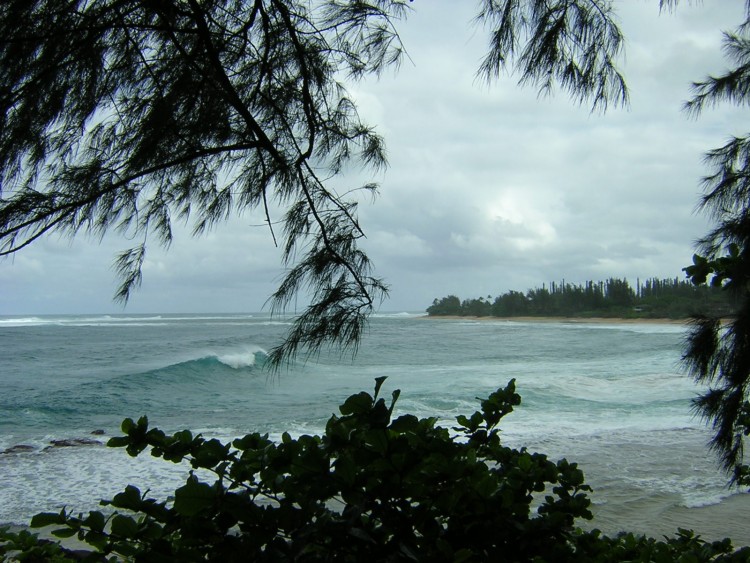 Fonds d'cran Nature Mers - Ocans - Plages plage isole