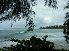 Fonds d'cran Nature plage isole