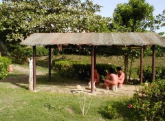 Fonds d'cran Voyages : Amrique du nord Gwadeloup - Basse-Terre