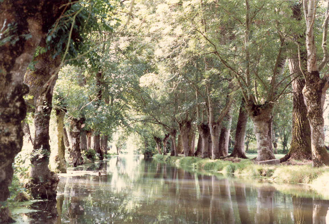 Wallpapers Trips : Europ France > Pays de Loire la venise verte