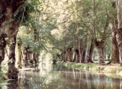 Fonds d'cran Voyages : Europe la venise verte