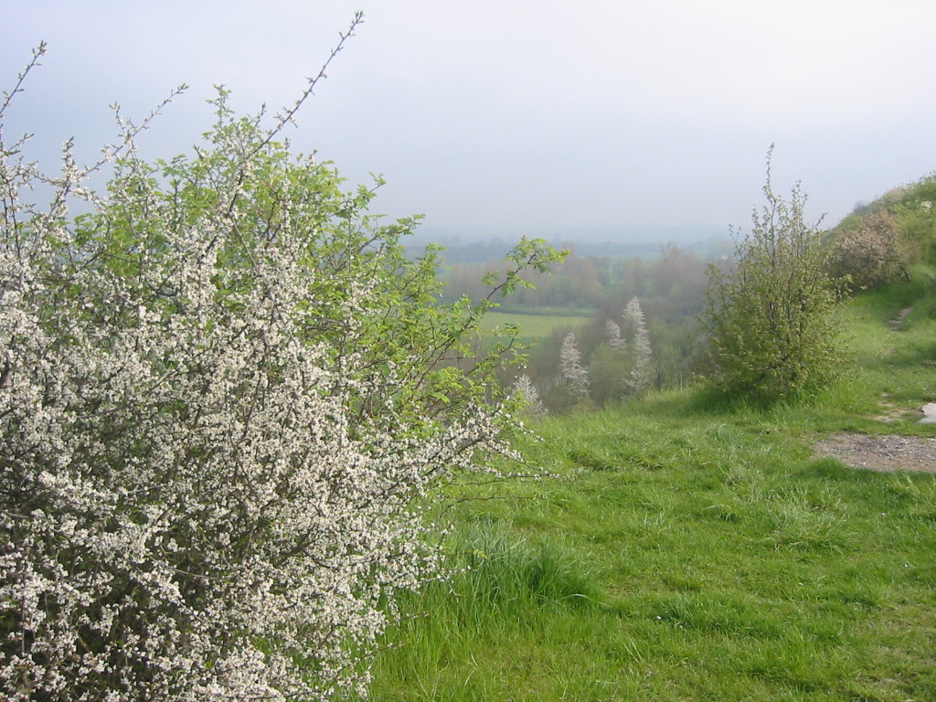 Fonds d'cran Voyages : Europe France > Picardie Plaine picarde