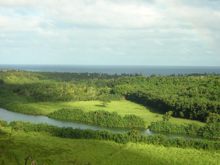 Fonds d'cran Nature Paysages Petite amazonie