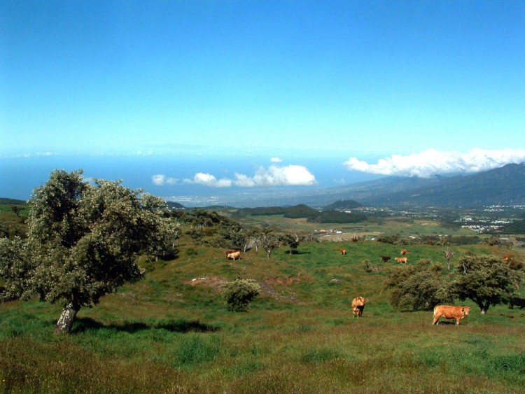 Fonds d'cran Voyages : Afrique La Runion Ile de la Reunion