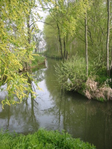 Wallpapers Nature Rivers - Torrents Petit cours d'eau picard.