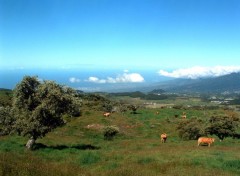 Fonds d'cran Voyages : Afrique Ile de la Reunion