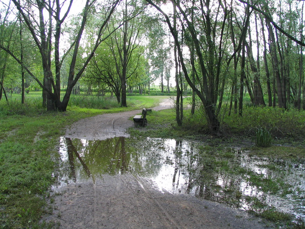 Wallpapers Nature Trees - Forests Banc dans un parc