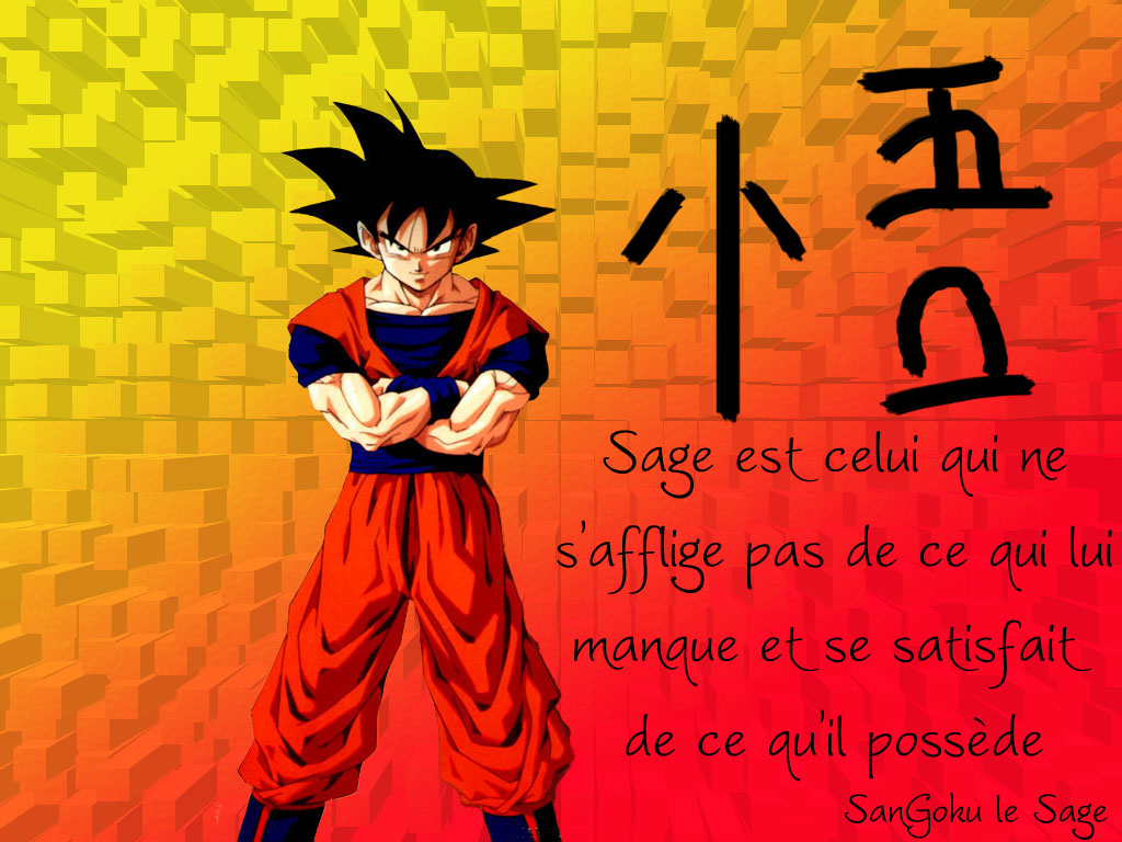 Wallpapers Manga Dragon Ball la sagesse