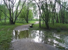 Wallpapers Nature Banc dans un parc