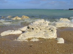 Fonds d'cran Nature la bre les bains (17)