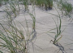 Fonds d'cran Nature bord de mer