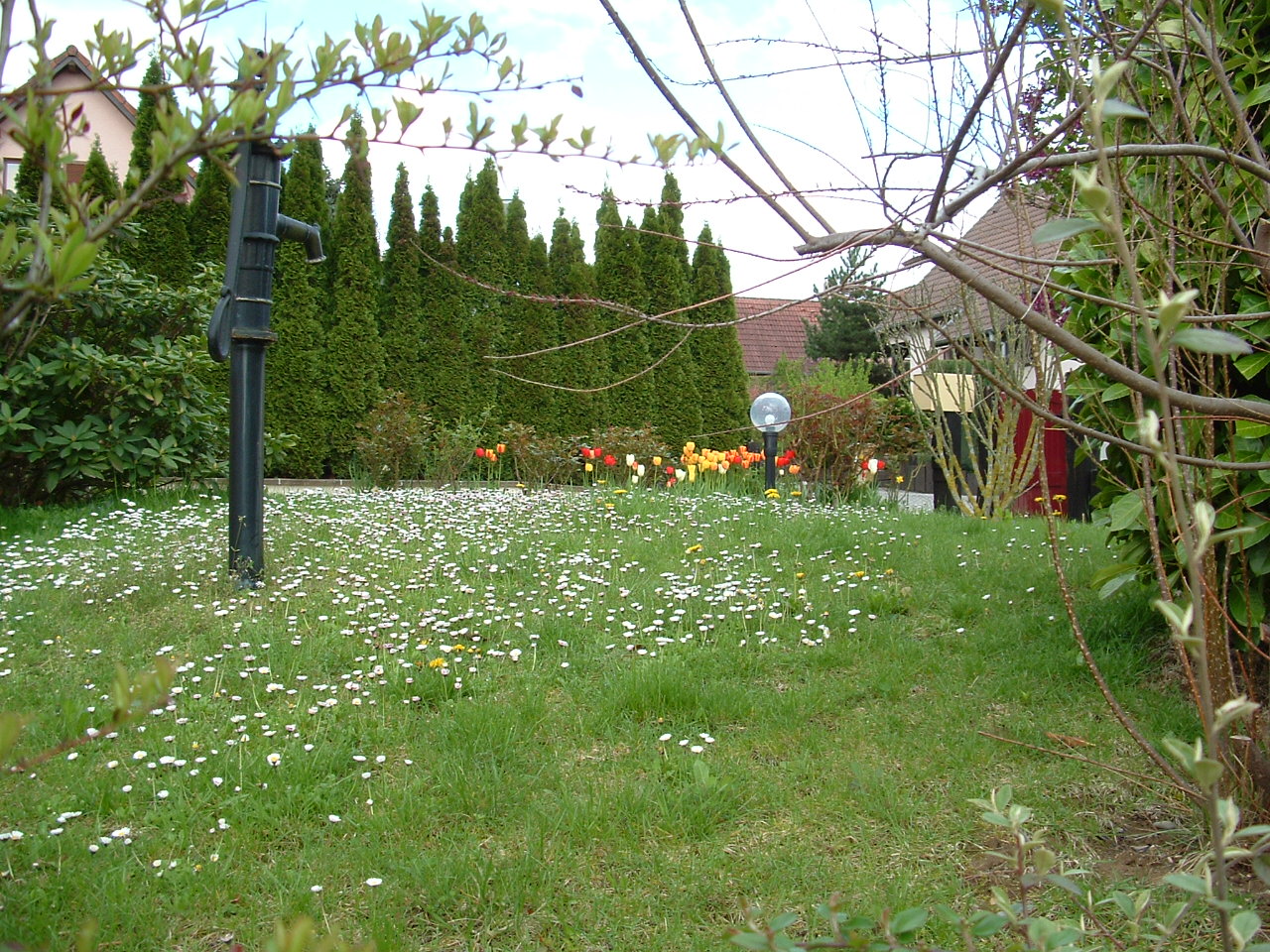 Fonds d'cran Nature Parcs - Jardins 