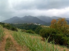 Fonds d'cran Voyages : Afrique Ile de la Reunion