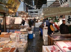 Fonds d'cran Voyages : Asie Tsukiji