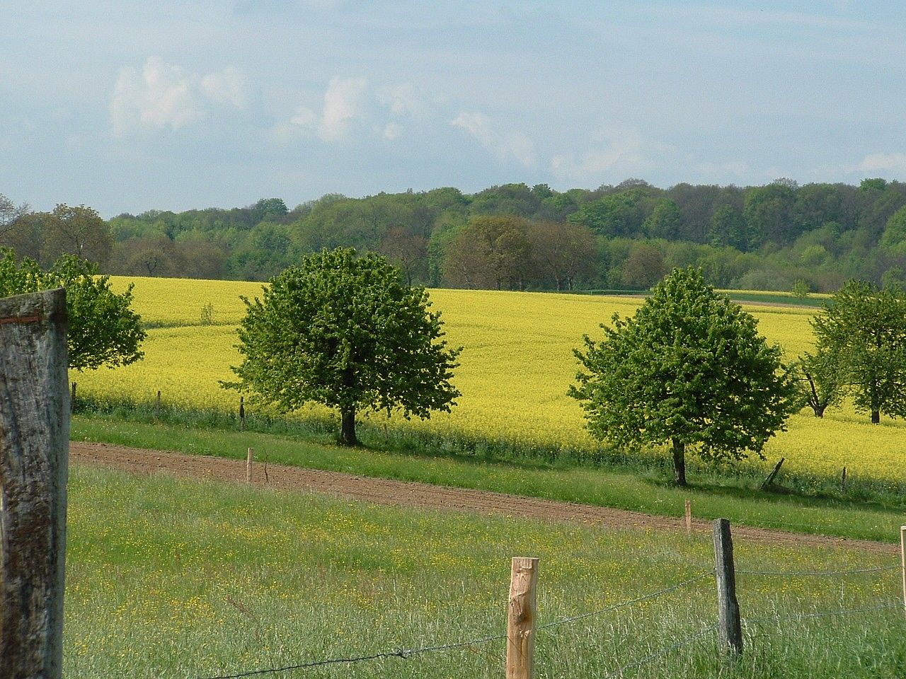 Fonds d'cran Nature Champs - Prairies 