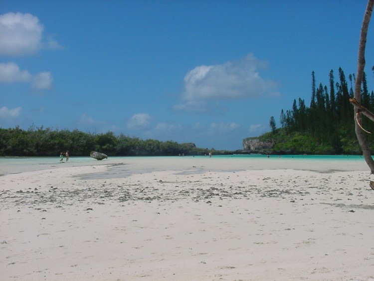 Fonds d'cran Nature Mers - Ocans - Plages Sur l'le des Pins