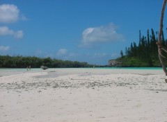 Fonds d'cran Nature Sur l'le des Pins