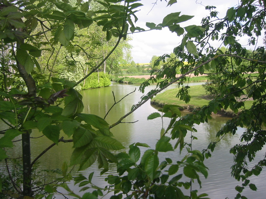 Fonds d'cran Nature Fleuves - Rivires - Torrents La Somme  travers les branches