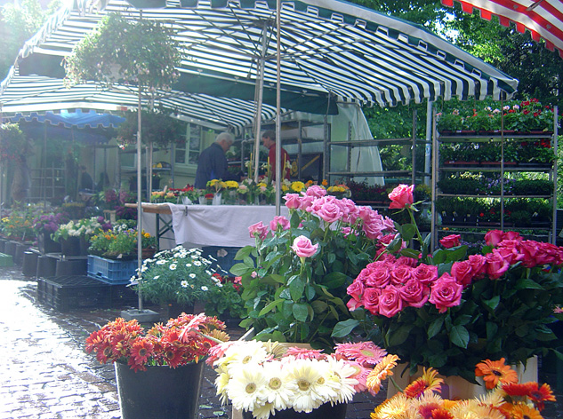 Wallpapers Nature Flowers Stand de fleurs  Heidelberg