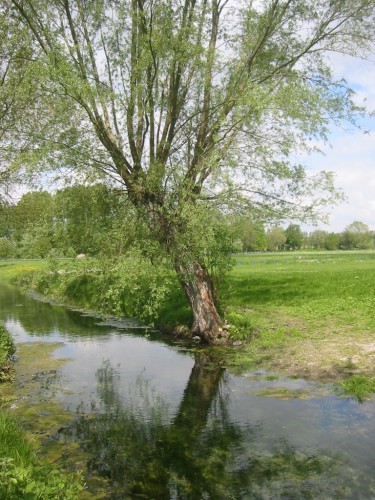 Fonds d'cran Nature Fleuves - Rivires - Torrents La Somme en Picardie