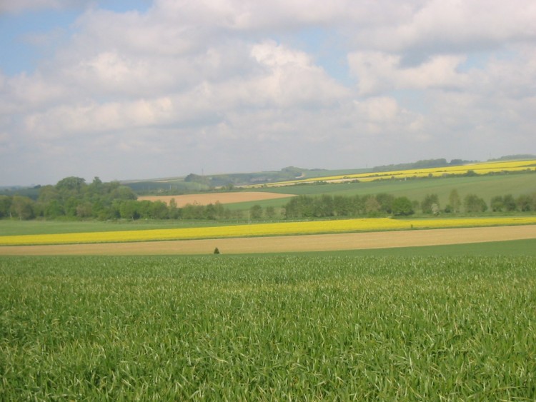 Fonds d'cran Voyages : Europe France > Picardie La plaine Picarde