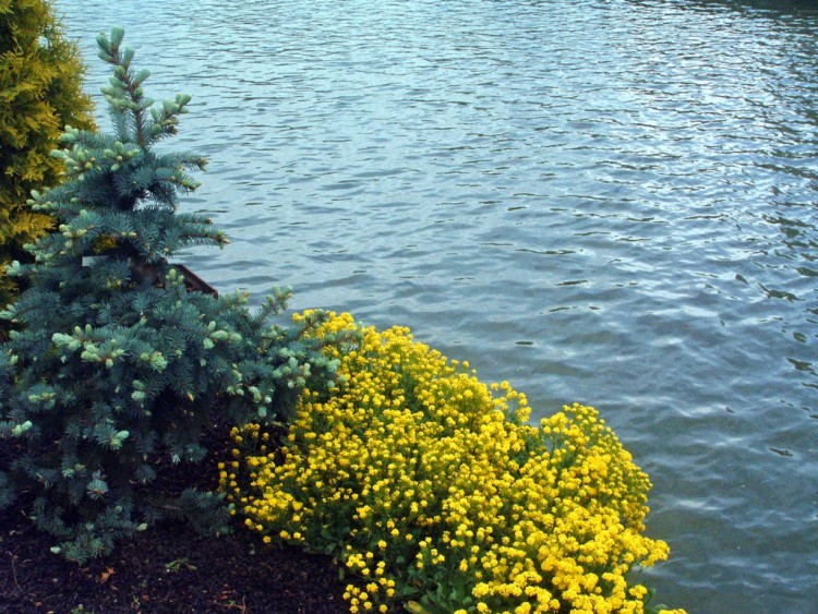 Fonds d'cran Nature Fleuves - Rivires - Torrents Au bord du canal....