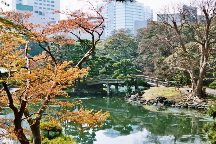 Fonds d'cran Voyages : Asie Japon Jardin d'Hama Rikyu