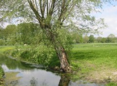 Fonds d'cran Nature La Somme en Picardie