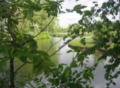 Fonds d'cran Nature La Somme  travers les branches