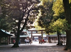 Fonds d'cran Voyages : Asie Entre du temple de Yoyogi