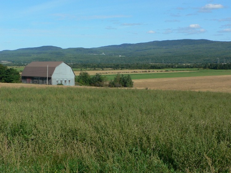 Fonds d'cran Voyages : Amrique du nord Canada La Campagne