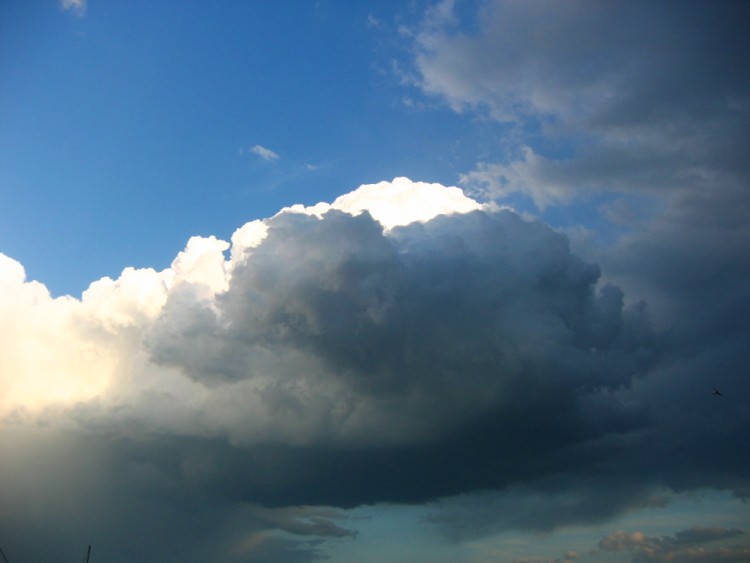 Wallpapers Nature Skies - Clouds Before the rain