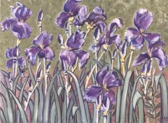 Fonds d'cran Art - Peinture les iris de mon jardin