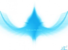 Wallpapers Digital Art blue bird