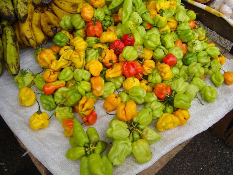 Fonds d'cran Nature Lgumes Piments de Cayenne