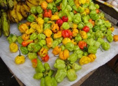 Fonds d'cran Nature Piments de Cayenne